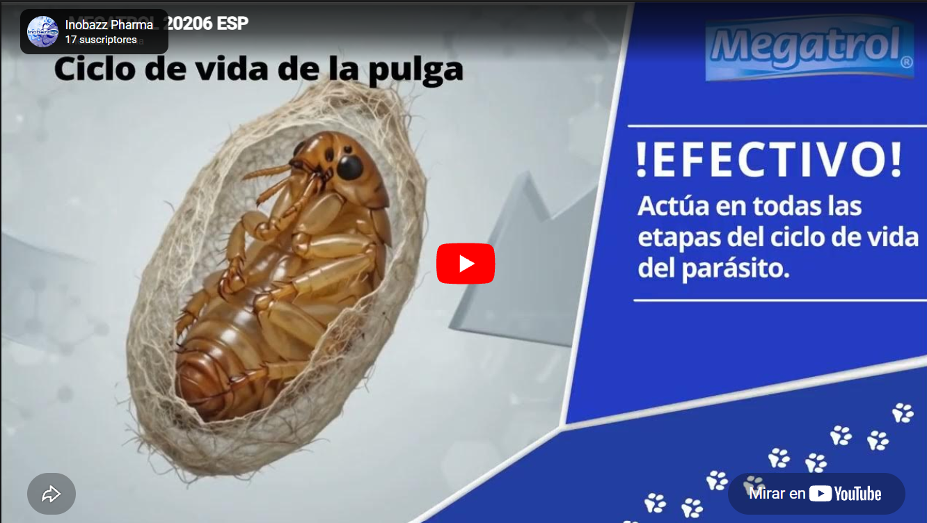 Ecovet Bioinsecticida
